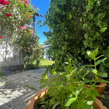 Apartment Di Simoni Bad Laasphe