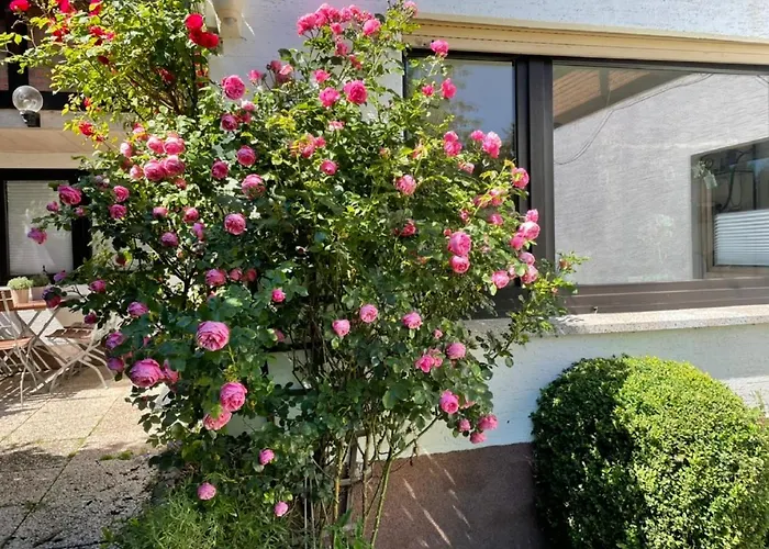 Di Simoni * Bad Laasphe